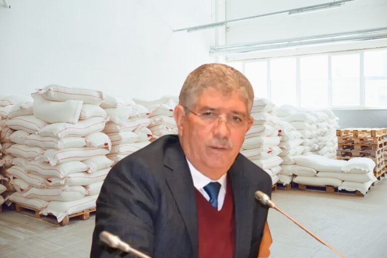 فتح تحقيق قضائي بعد جدل تصريحات التويزي حول طحن الورق مع الدقيق طحن الورق مع الدقيق