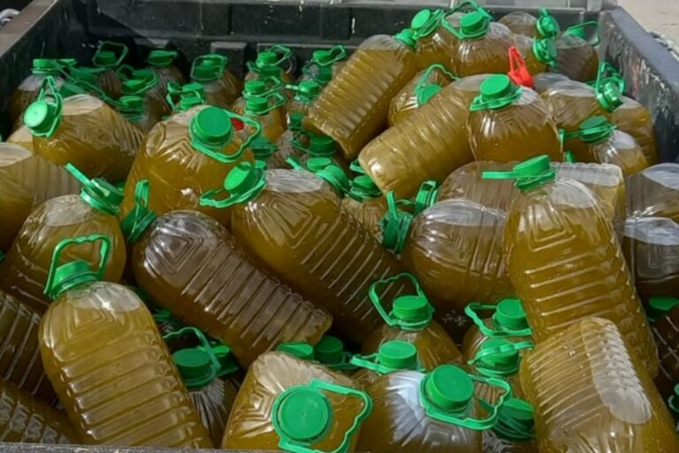 زيت الزيتون المغشوش