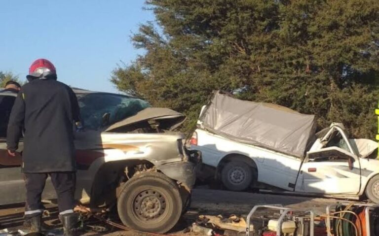 مصرع 6 عمال زراعيين